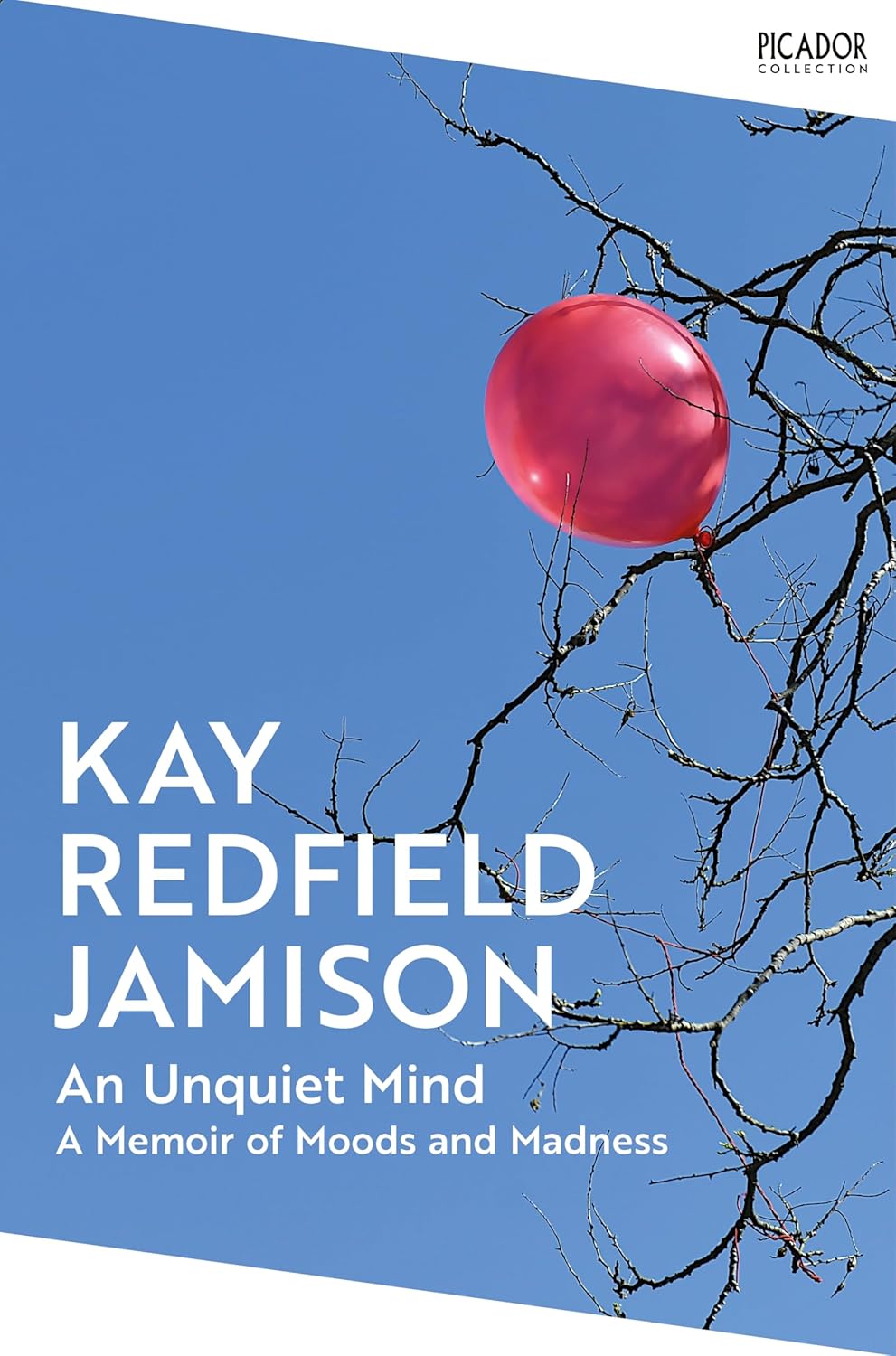 An Unquiet Mind (English, Paperback, Kay Redfield Jamison)