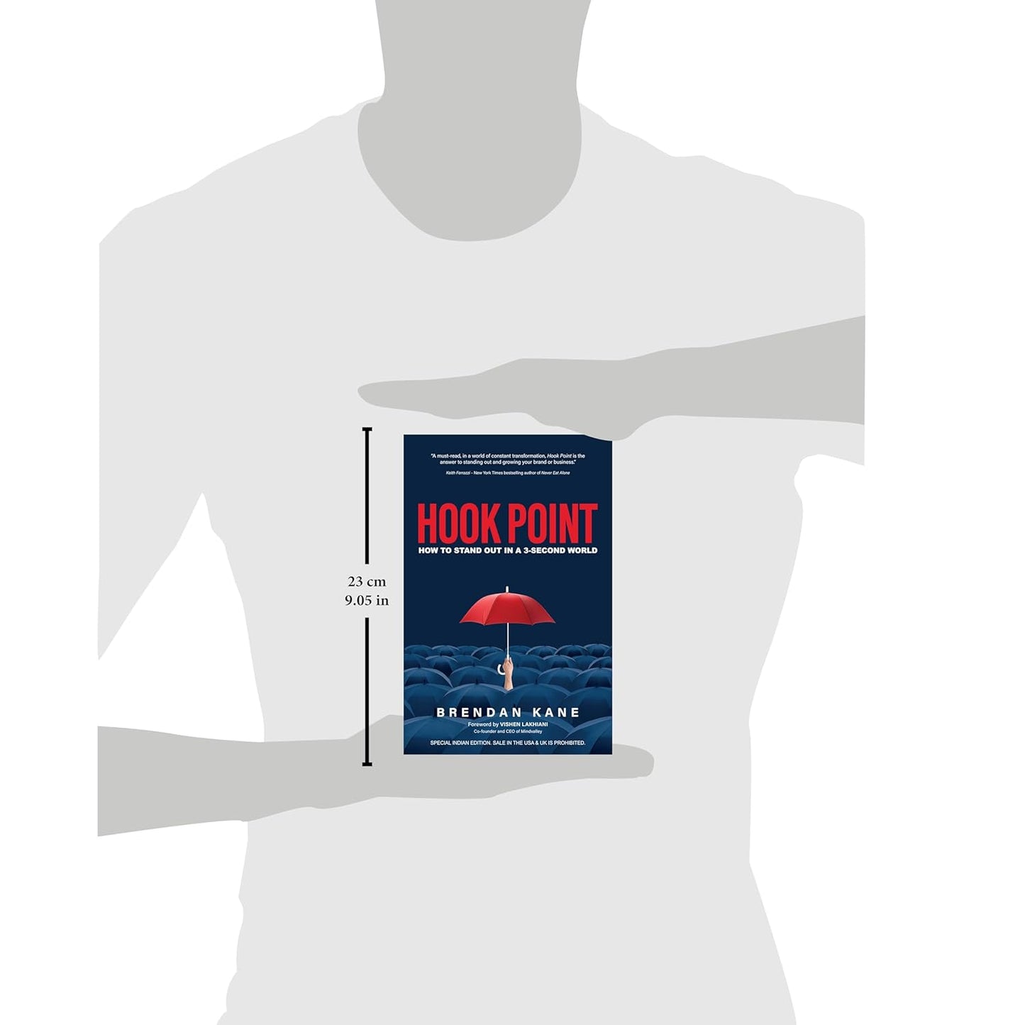 Hook Point (English, Paperback, Brendan Kane)