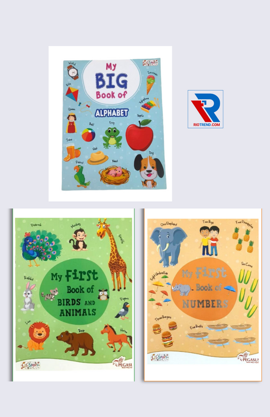 Big Imaginations Begin Early (Set of Books):ABC - My Very First Preschool Book, Numbers - My Very First Preschool Book and My First Book of Birds and Animals (English, Paperback)