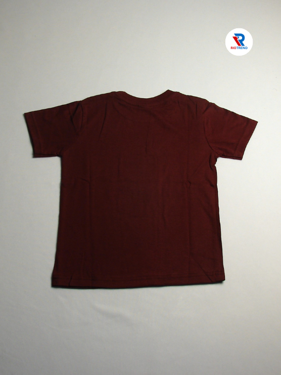 Boys' Cotton Half Sleeve T-Shirt Brown