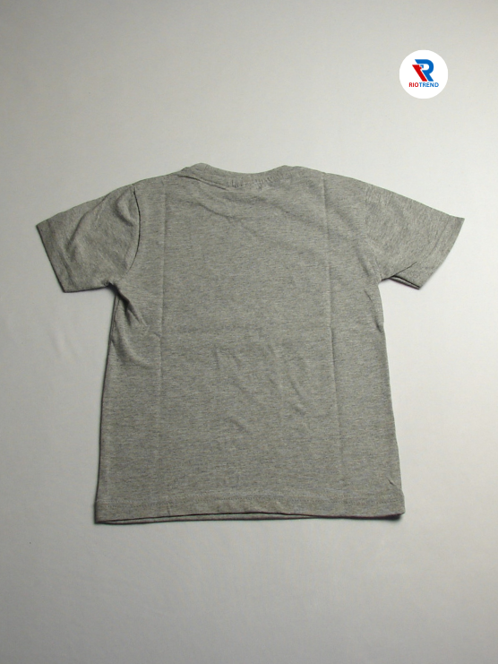 Boys' Cotton Half Sleeve T-Shirt Gray & Blue