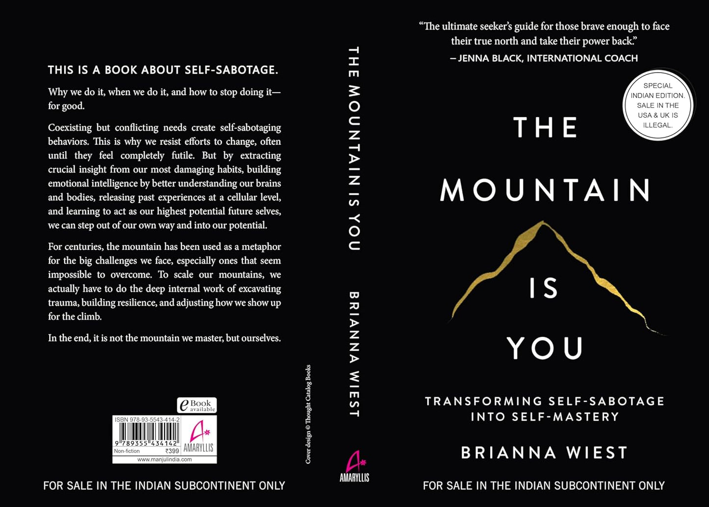 The Mountain Is You (English, Paperback, Brianna Wiest)