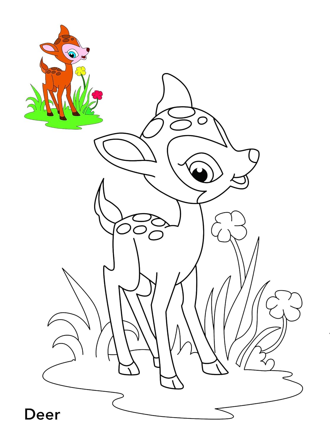 Animals Copy Colouring Book (English, Paperback)