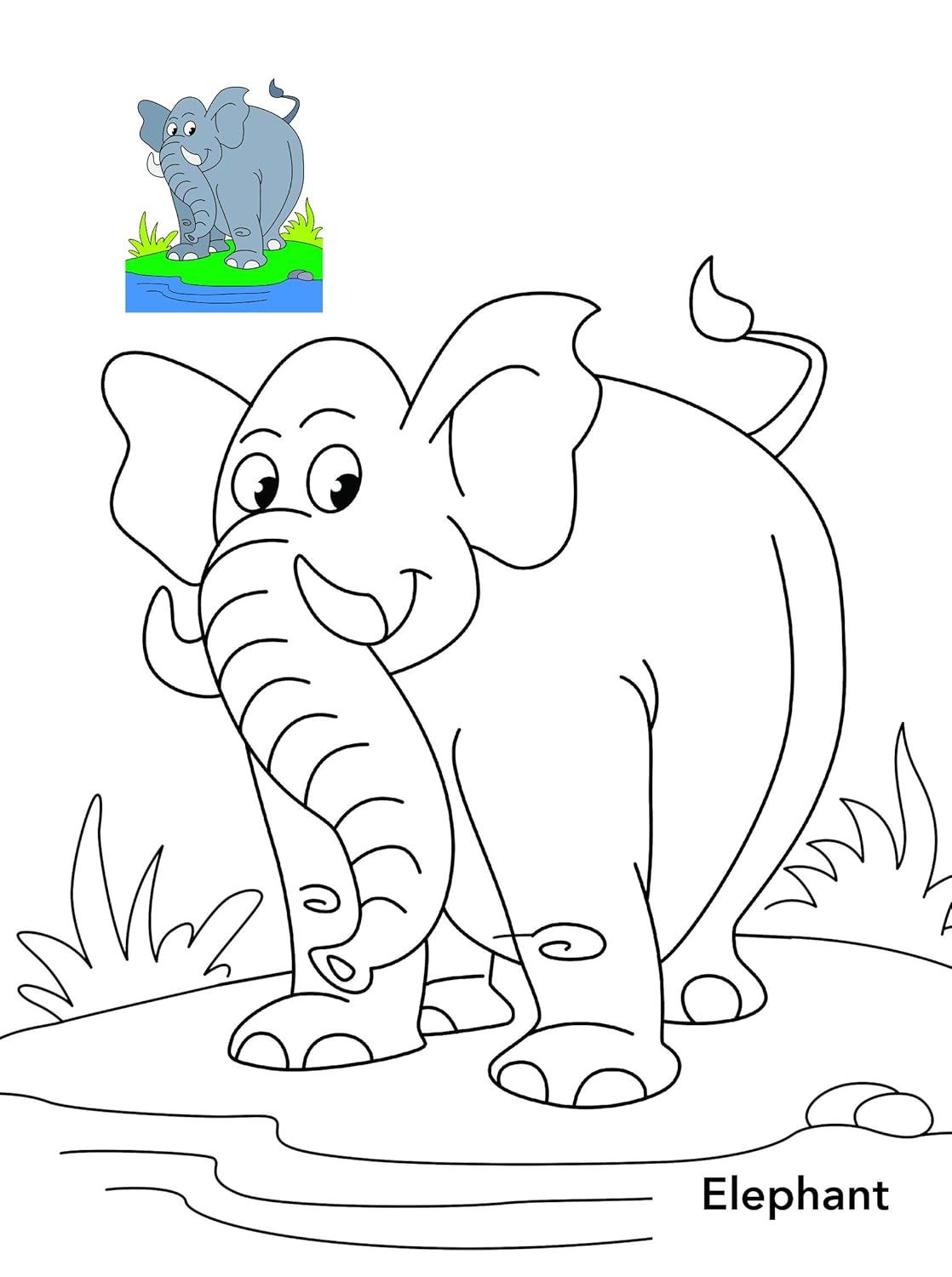 Animals Copy Colouring Book (English, Paperback)