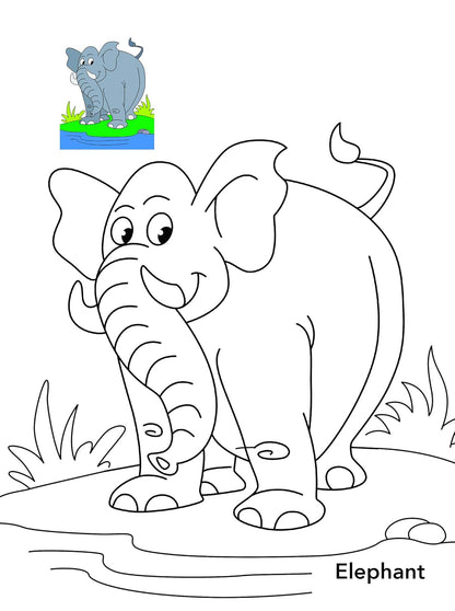Animals Copy Colouring Book (English, Paperback)